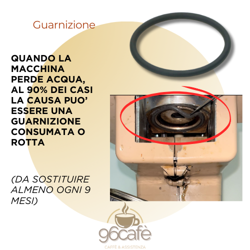 Kit Riparazione SOLO RICAMBI - PREMIUM - FROG